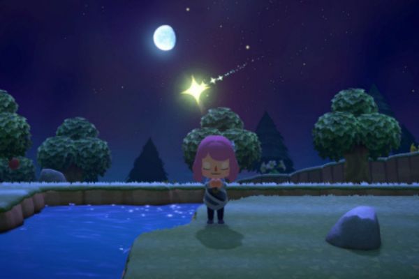 Evolution Toile Charmante dans Animal Crossing