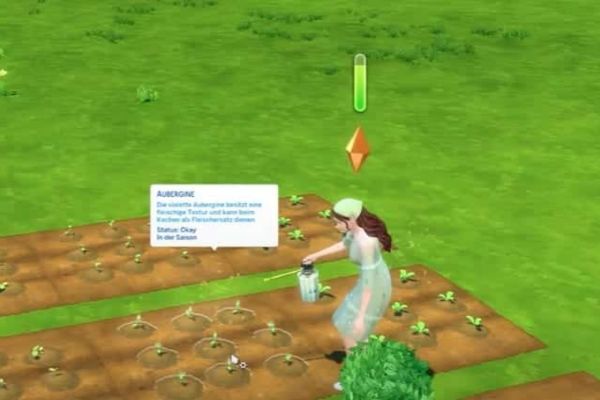 Où trouver plus de challenges Sims 4
