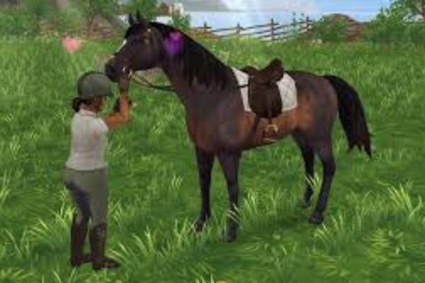 Codes Star Stable pour nouveaux joueurs