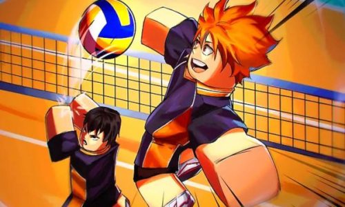 code haikyuu legends​